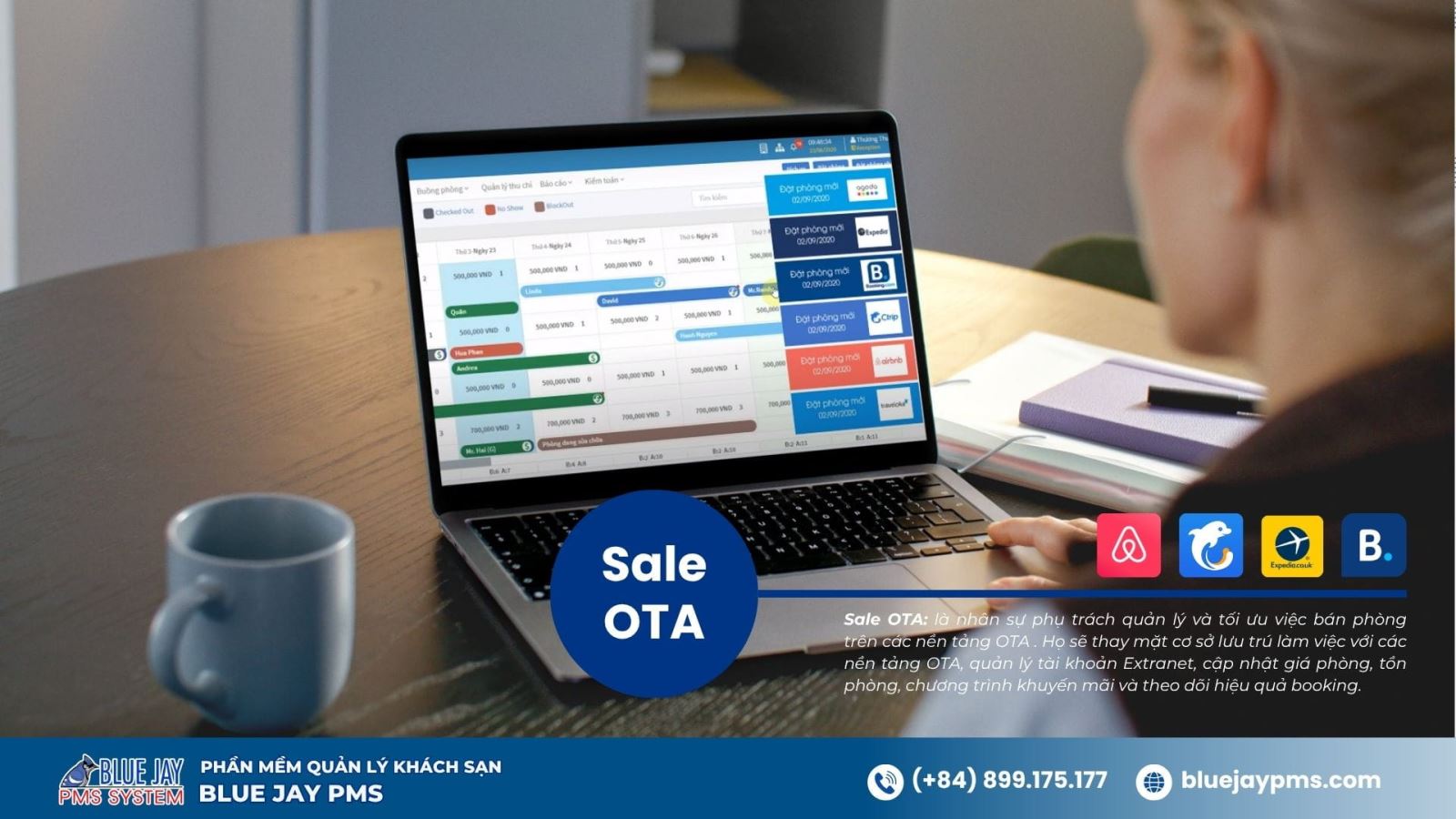sale OTA là gì